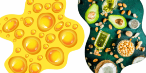 Por muito tempo, a gordura foi a grande vilã da dieta. Mas a ciência da nutrição provou: os lipídios são essenciais para a nossa saúde! É hora de desmistificar e aprender a diferença entre o que devemos priorizar e o que devemos moderar.