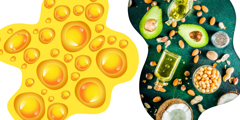 Por muito tempo, a gordura foi a grande vilã da dieta. Mas a ciência da nutrição provou: os lipídios são essenciais para a nossa saúde! É hora de desmistificar e aprender a diferença entre o que devemos priorizar e o que devemos moderar.