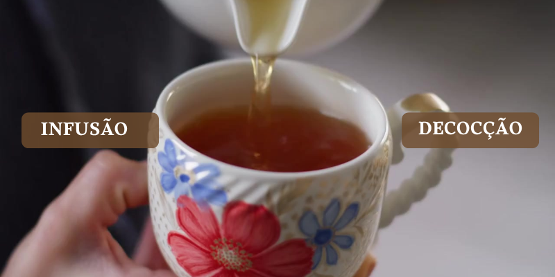 Você está preparando seu chá da forma CORRETA? Chás Digestivos: Infusão ou Decocção?